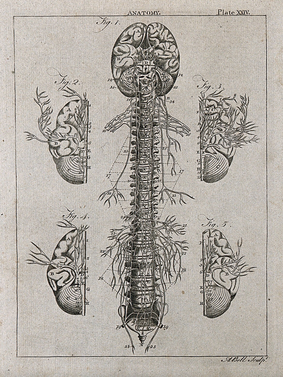 Maps of the Inner Weather